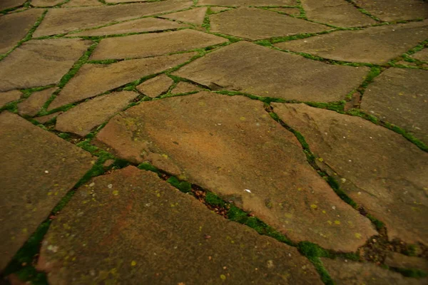 Старый дикий каменный пол с мхом в швах крупным планом . — стоковое фото