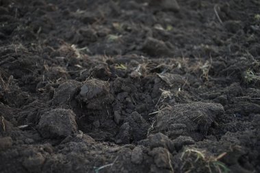 Kazılmış toprak, yakın plan, taze toprakla işlenmiş arazi..