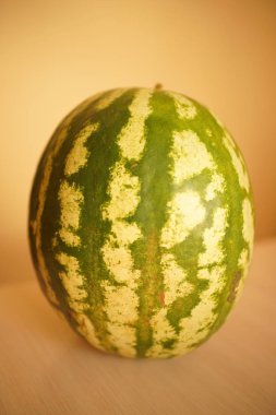 Masada büyük olgun karpuz.
