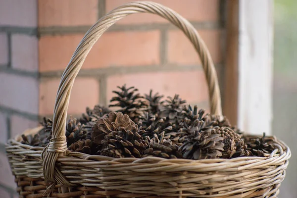 Old wicker basket with pine cones near brick wall, closeup. — 스톡 사진