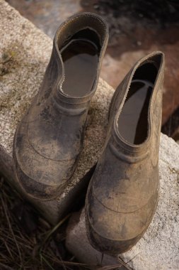 A pair of old dirty galoshes with water inside on stones.