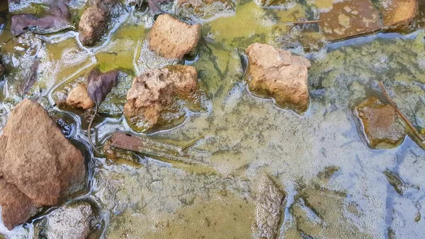 Poluição ambiental, água suja em um lodo com pedras e lixo . — Fotografia de Stock