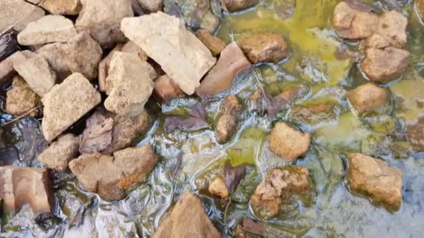 Eau sale dans un limon avec des pierres et des déchets . 