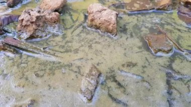 Kirli su, taşlarla ve çöplerle dolu alüvyon içinde. Çevre kirliliği