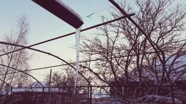 Riesige Lange Eiszapfen Hängen Einem Abflussrohr Eines Hauses — Stockvideo