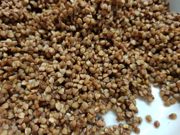 Wet raw buckwheat porridge close up in white pan — Stock Photo, Image
