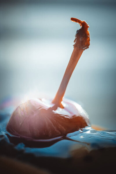 Macro close-up of a cherry with a stalk in a juicy fruit dessert.