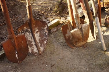 Paslı kürek seti. Eski bahçe aletleri.