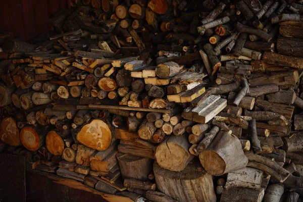 納屋の薪だ 冬に収穫されるさまざまな種類の木 — ストック写真