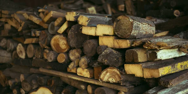 薪が閉まりました 冬に収穫されるさまざまな種類の木 — ストック写真