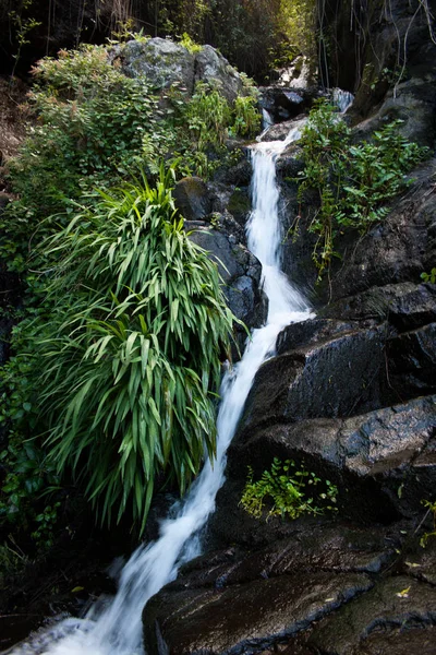 Schöner Garten Wasserfall — Stockfoto