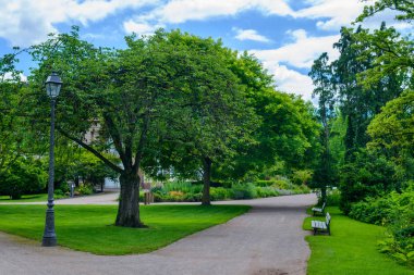 Sakin bir parkta iki rustik ahşap banklar