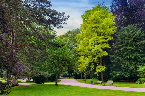 Deux bancs en bois rustiques dans un parc tranquille — Photo