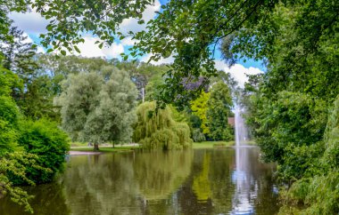 Bereketli yeşil park yazın ya da ilkbaharda yapraklı ağaçlarla çevrili sakin bir göle yansıyor.