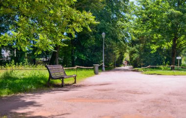 Rustik ahşap tezgah düzgün çimenler ve bir geçit ya da yol kenarındaki orman ağaçları yemyeşil yeşil park çıtalı