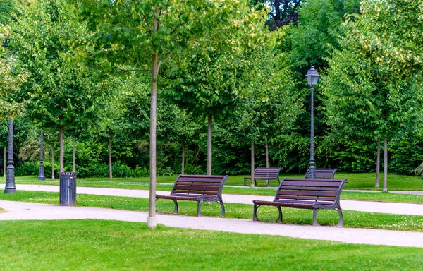 İki yanında bir yol ya da geçit yapraklı yeşil ağaçlar ile bir sakin yemyeşil bahar parkta rustik ahşap banklar boş