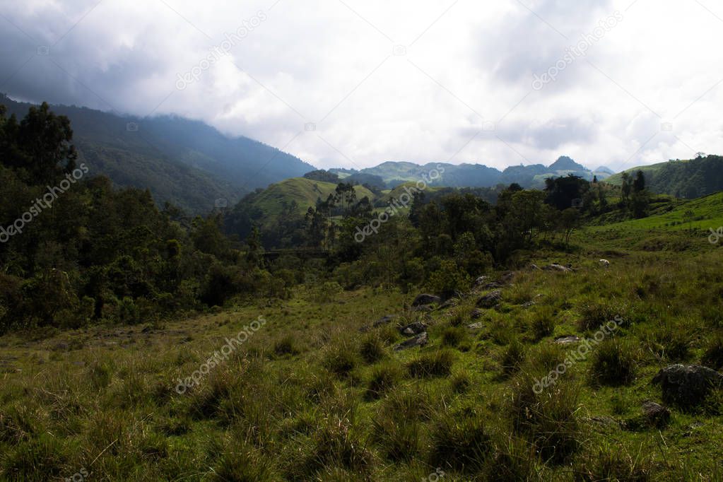 Mountains on the way to Santa Isabel, Colombia.
