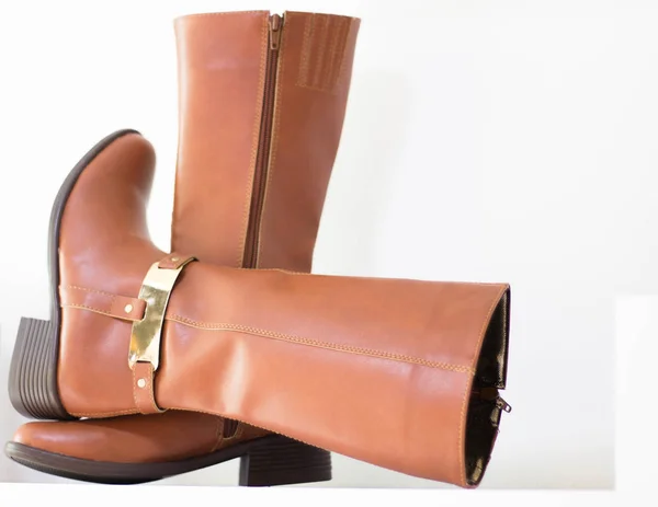 Kadın moda botları