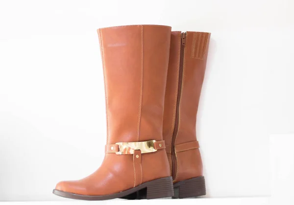 Kadın moda botları