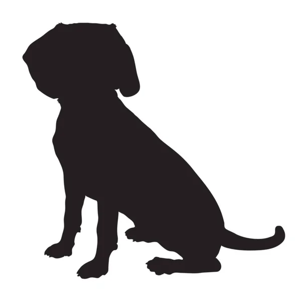 Beagle zwarte silhouet — Stockvector