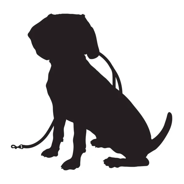 Laisse de silhouette Beagle Illustrations De Stock Libres De Droits