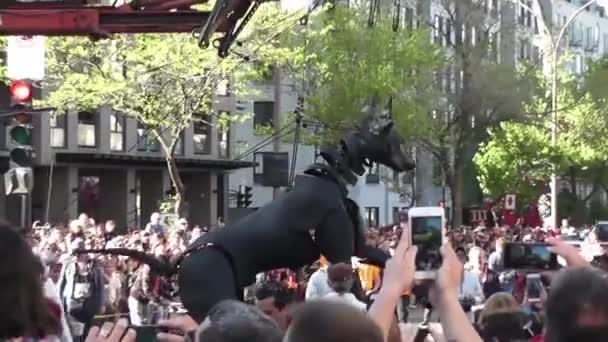 Câinele lui XOLO Gigantul a fost în Montreal, Quebec . — Videoclip de stoc