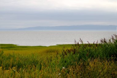 Waterscape bulutlu ve sisli bir gün