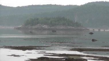 Yüksek gelgit bulutlu ve sisli bir günde BIC milli parkta yavaşça.