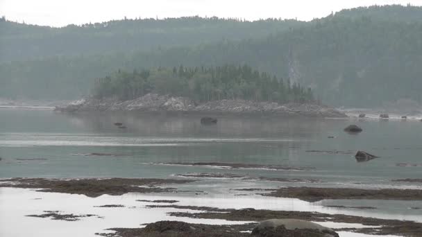 Marée haute se déplaçant lentement par une journée nuageuse et brumeuse dans le parc national Bic .