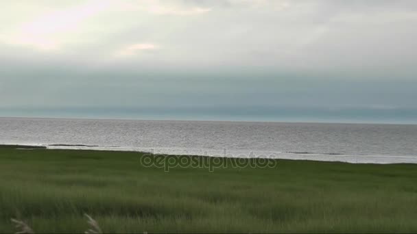 Na pozdní a zatažené odpoledne nedaleko řeky svatého Vavřince na Lapocatiere, Quebec, relaxační pohled s vysokým listí do vody. — Stock video