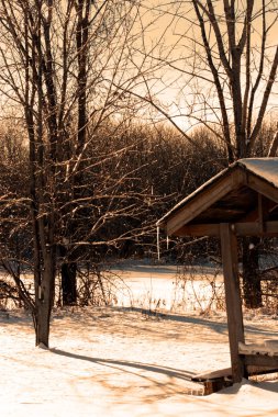Dinlenme alanı yakınındaki ormanda kış kar kaplı