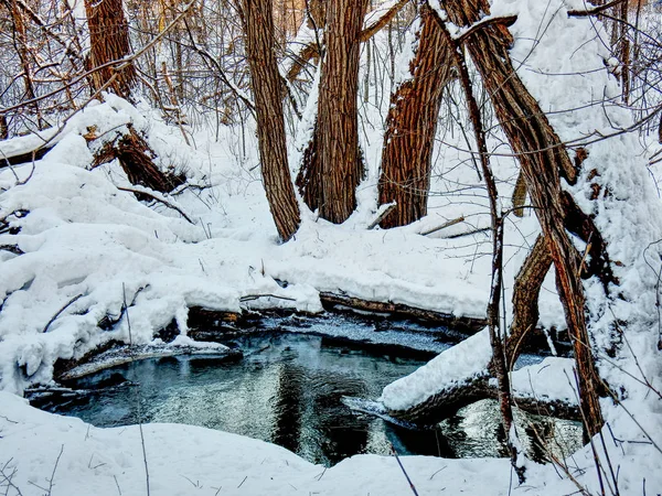 Kleiner Teich Schneebedeckten Wald Winter Hdr Fotos — Stockfoto