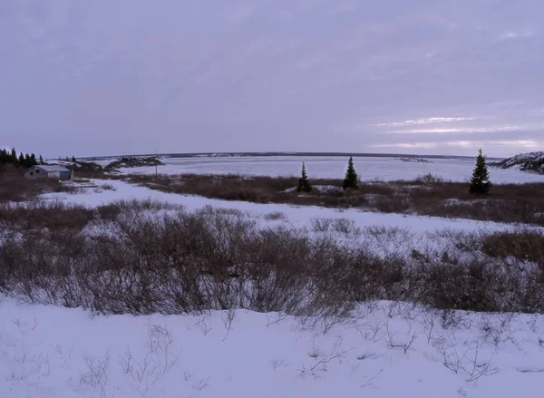 Kuujjuaq Kış Manzarası — Stok fotoğraf