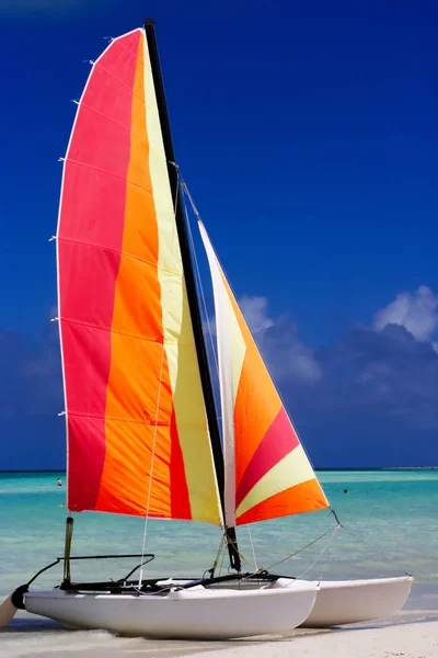 Colorido Catamarán Playa — Foto de Stock