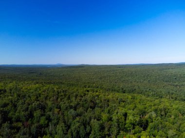 Ormanlı ve mavi gökyüzü insansız hava aracı ile çekiliyor.