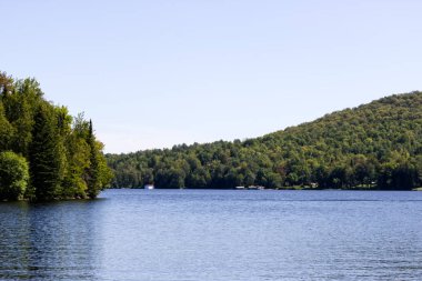 Ormanın ortasında sessiz bir göl.