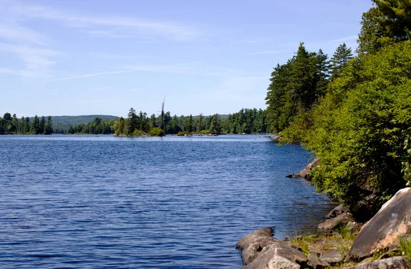 森の真ん中に青い水の湖があり — ストック写真