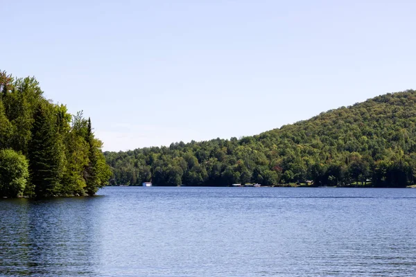 Lac Calme Milieu Forêt — Photo