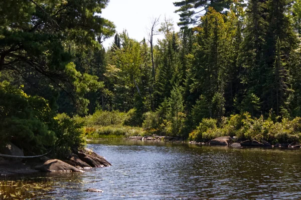 Tyst Flod Mitt Skogen — Stockfoto