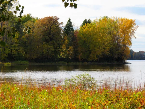 Laval, Quebec 'te nehir kenarından düşen ağaçlar.