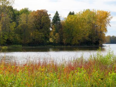 Göl ve ağaçlarla dolu sonbahar manzarası