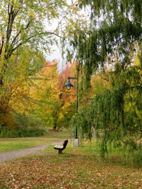 Lonely bench by a lamp post in the park with colorful trees in Autumn