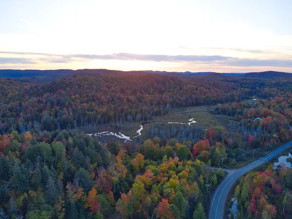 Luchtfoto Van Boven Een Bos Met Kleuren Van Herfst — Stockfoto