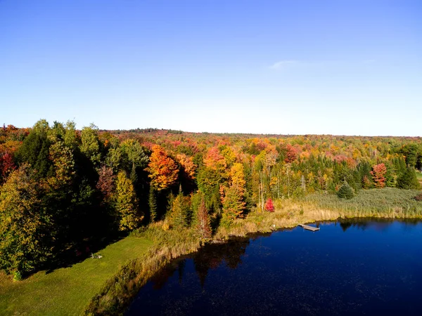 Herbstlandschaft Mit See Und Bäumen Einem Sonnigen Tag Ohne Wolken — Stockfoto