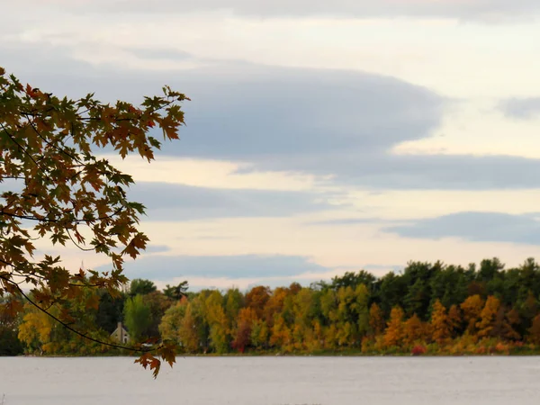 秋天的多云的天空 河边有树 — 图库照片