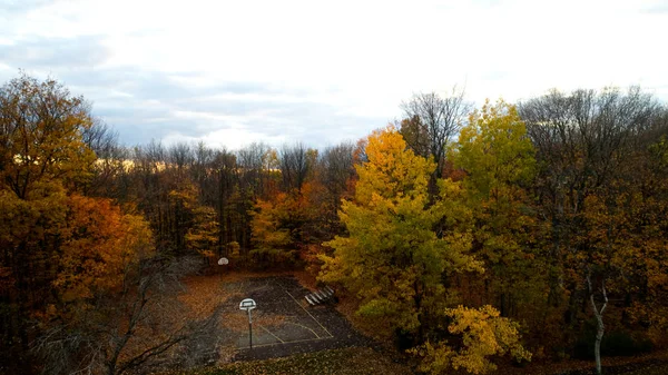 Aerial View Playground Surrounded Colorful Forest Autumn — 스톡 사진
