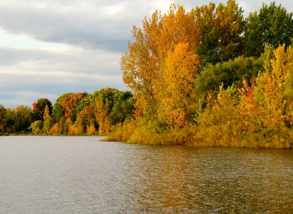 Herfst Landschap Met Meer Bomen Een Bewolkte Hemel — Stockfoto