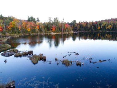 Aerial view of reflection of colorful trees in the lake