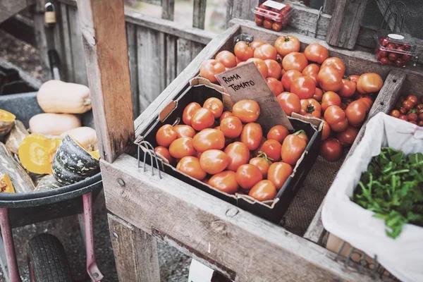 Roma rajčata na trhu — Stock fotografie