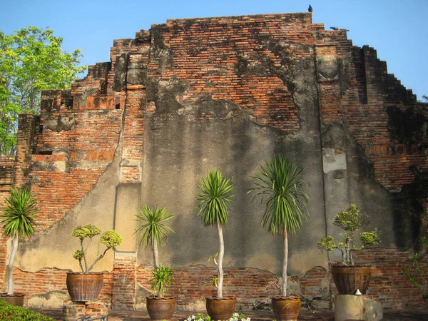 Egy régi templom Ayutthaya történelmi Park — Stock Fotó
